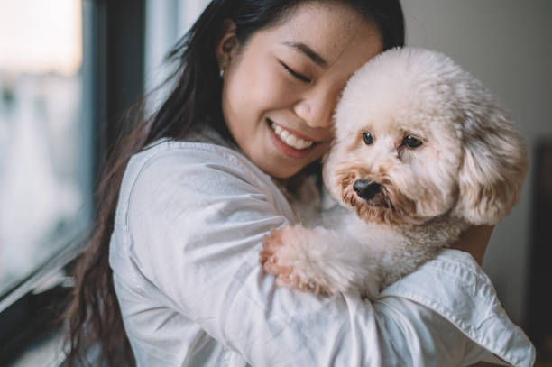 Poodle Testimonials 3
