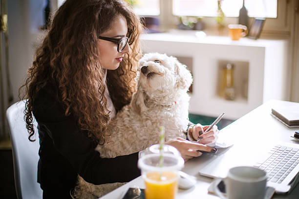 Poodle testimonials